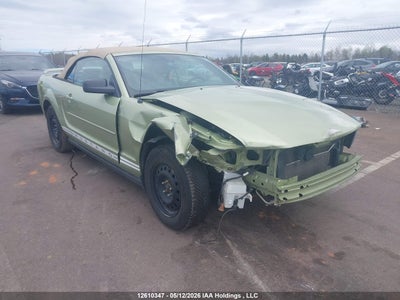 FORD Mustang Convertible 2005