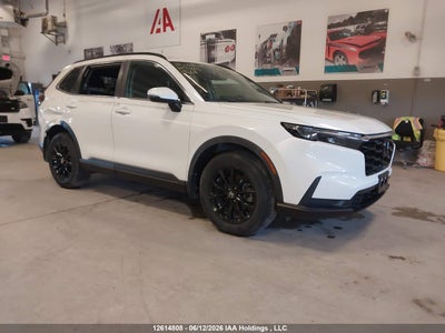 HONDA CR-V 2023