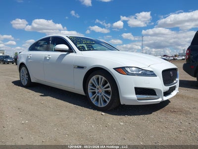 JAGUAR XF 2020