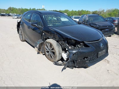 LEXUS UX 300H 2025