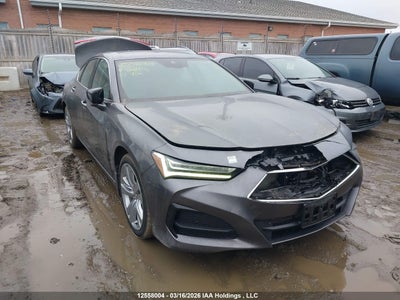 ACURA TLX 2021