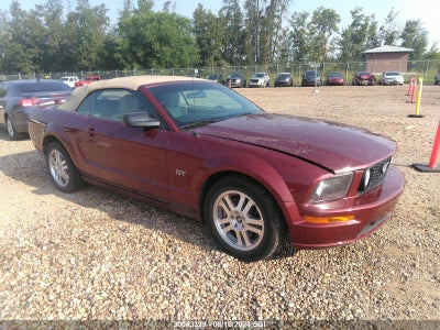 FORD MUSTANG 2006