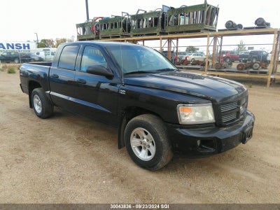 DODGE DAKOTA 2010